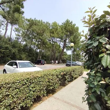 Au Charme De St Georges * סן-ז'ורז'-דה-דידון